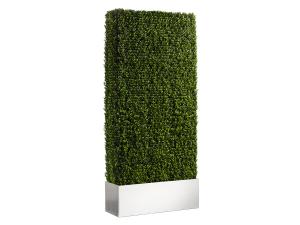 CEAC-052 Boxwood Hedge, White, 8' -- Trade Show and Event Furnishings